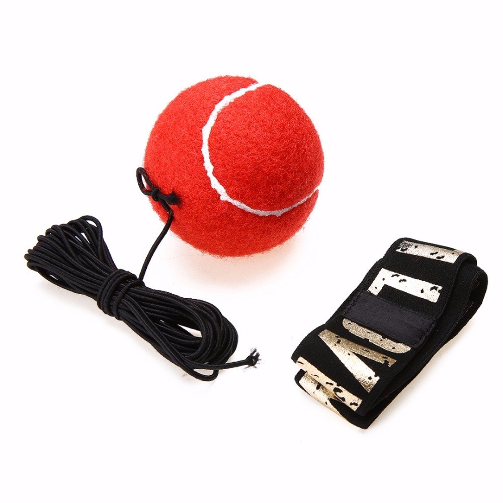 Reflex Speed Boxing Punch Ball